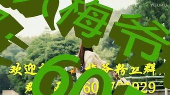 3d金梅在线观看  第1张